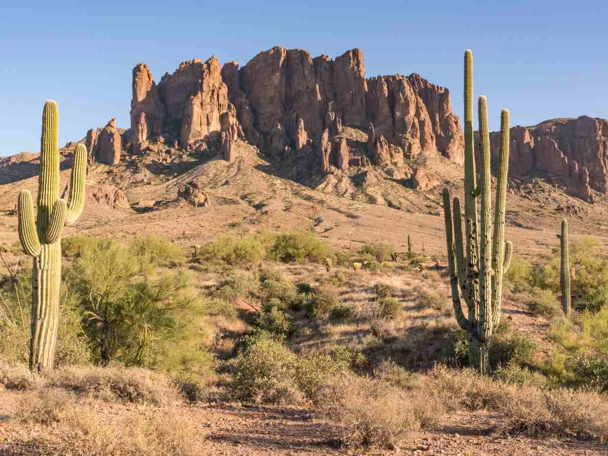 Desert in Phoenix, AZ showing rock formations coming out of ground with cacti and brush in the dry desert for article Desert Origins of Phoenix for newcomers moving to Phoenix.