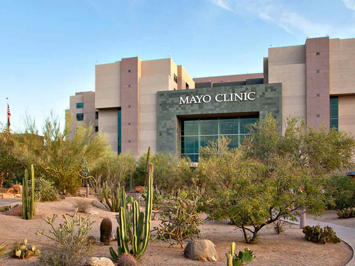 Picture of Mayo clinic with cacti and rock landscaping in front of building for article Healthcare and Hospitals in Phoenix for newcomers moving to Phoenix.