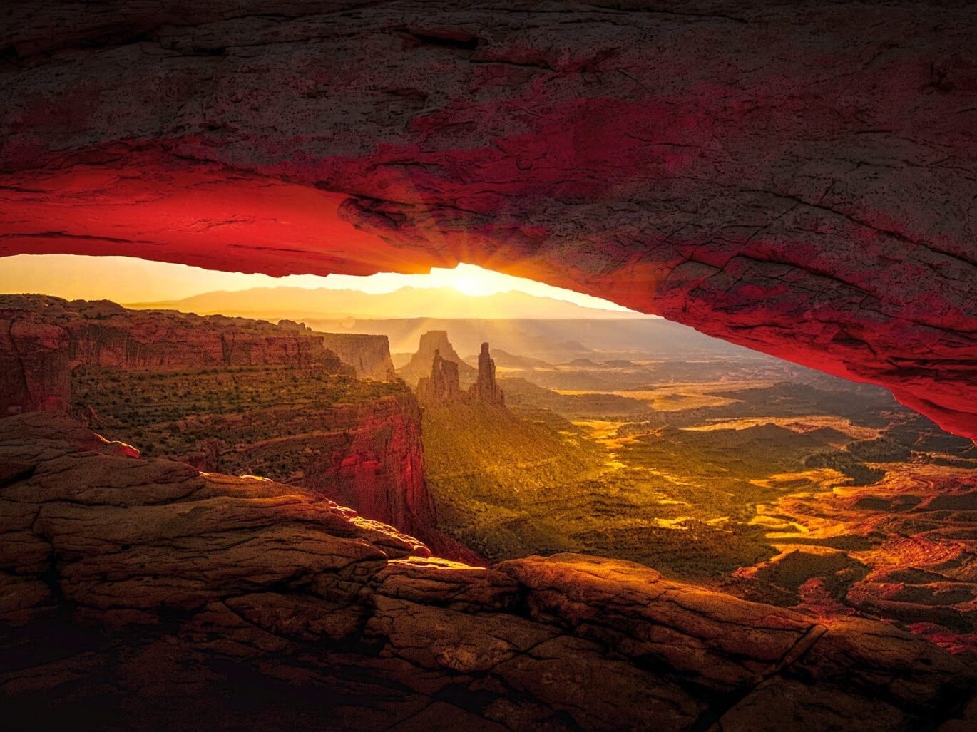 Phoenix sunrise