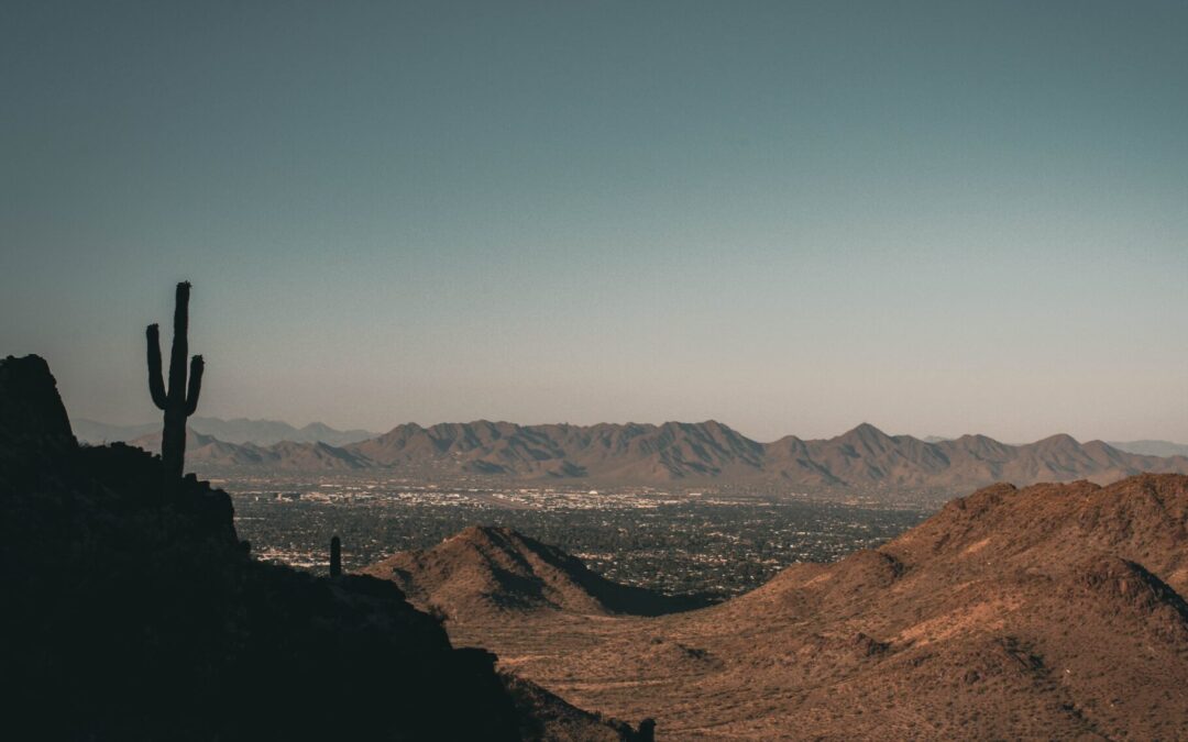 Moving to Phoenix? You’re Not the Only One