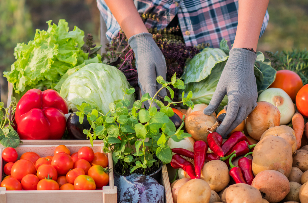 Sunshine & Local Goodness