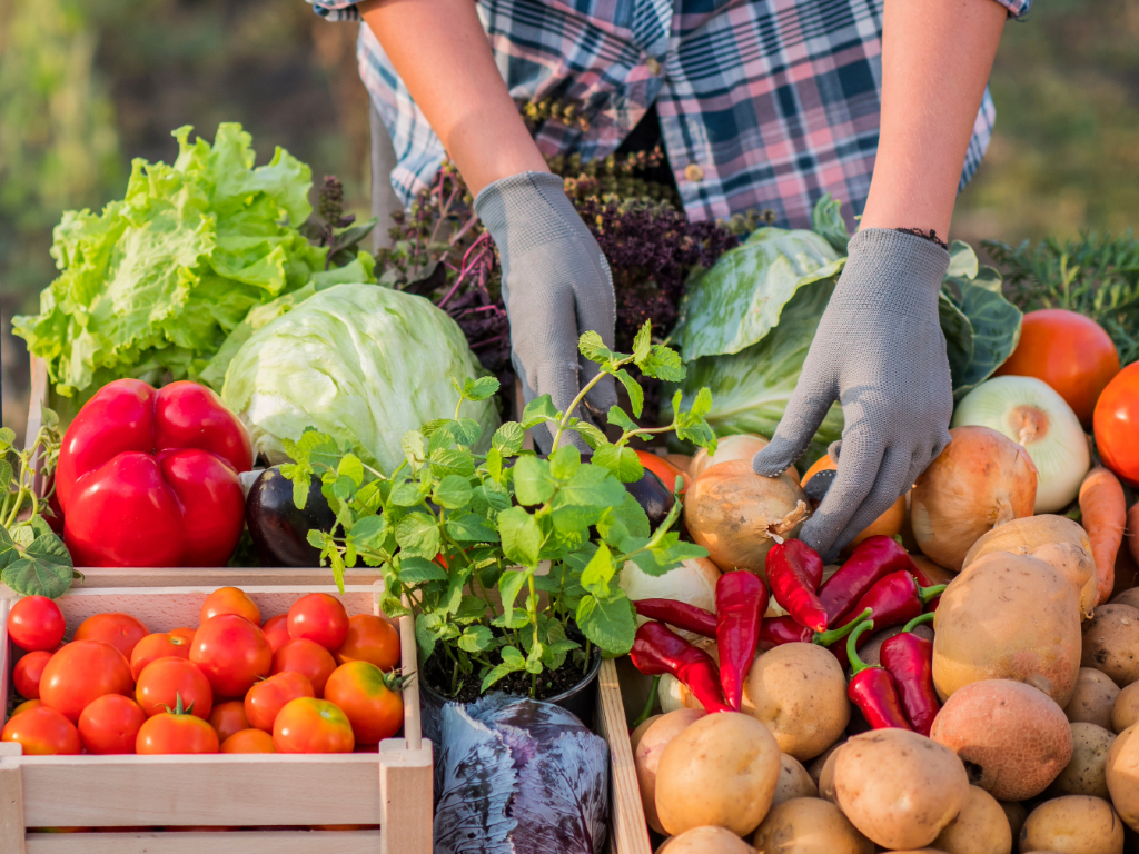 Close up of produce at a Farmers Market.