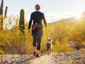 Woman walking her dog out on Phoenix area trails with cactus in background.