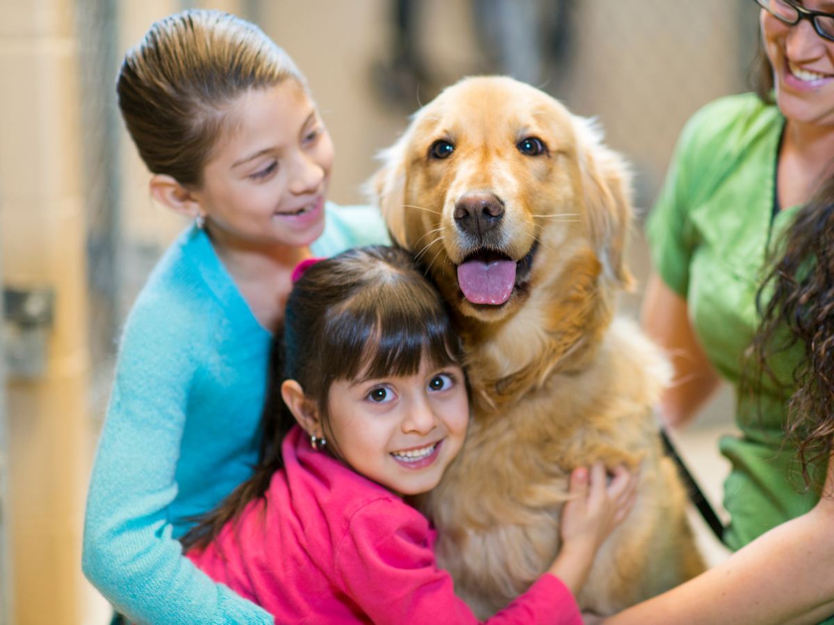 2 young girls one in blue shirt and one in bright pink shirt hugging golden retriever at animal rescue with an adult sitting on the other side just off edge of photo for article 15 Amazing Rescue Organizations in Phoenix for newcomers moving to Phoenix.