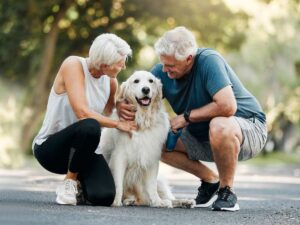 Senior couple out for a walk stopped on trail squatting down on either side of white golden retriever for article Retiring in Phoenix with a Pet for newcomers moving to Phoenix.