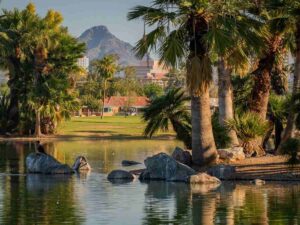 Lagoon with palm trees with mountains in distance for article How to Choosing the Best Phoenix Neighborhood for Your Lifestyle in 2025 for newcomers moving to Phoenix.