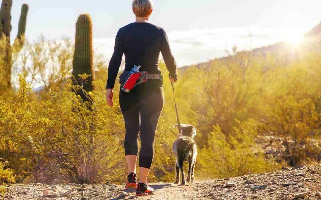 Pet-Friendly Phoenix: Parks, Services, and Resources for Your Furry Friends