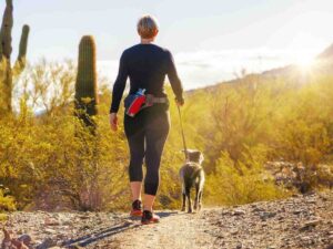 Woman in athletic wear walking into desert away from camera with her dog for article Pet-Friendly Phoenix: Parks, Services, and Resources for Your Furry Friends