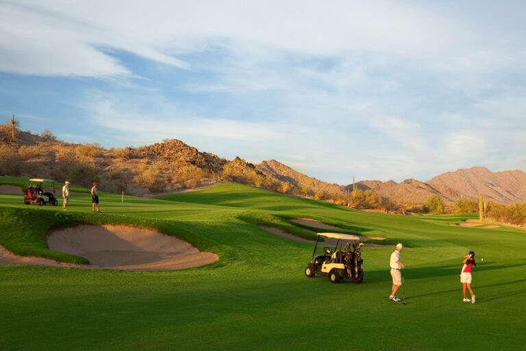 Document OPT 768x512