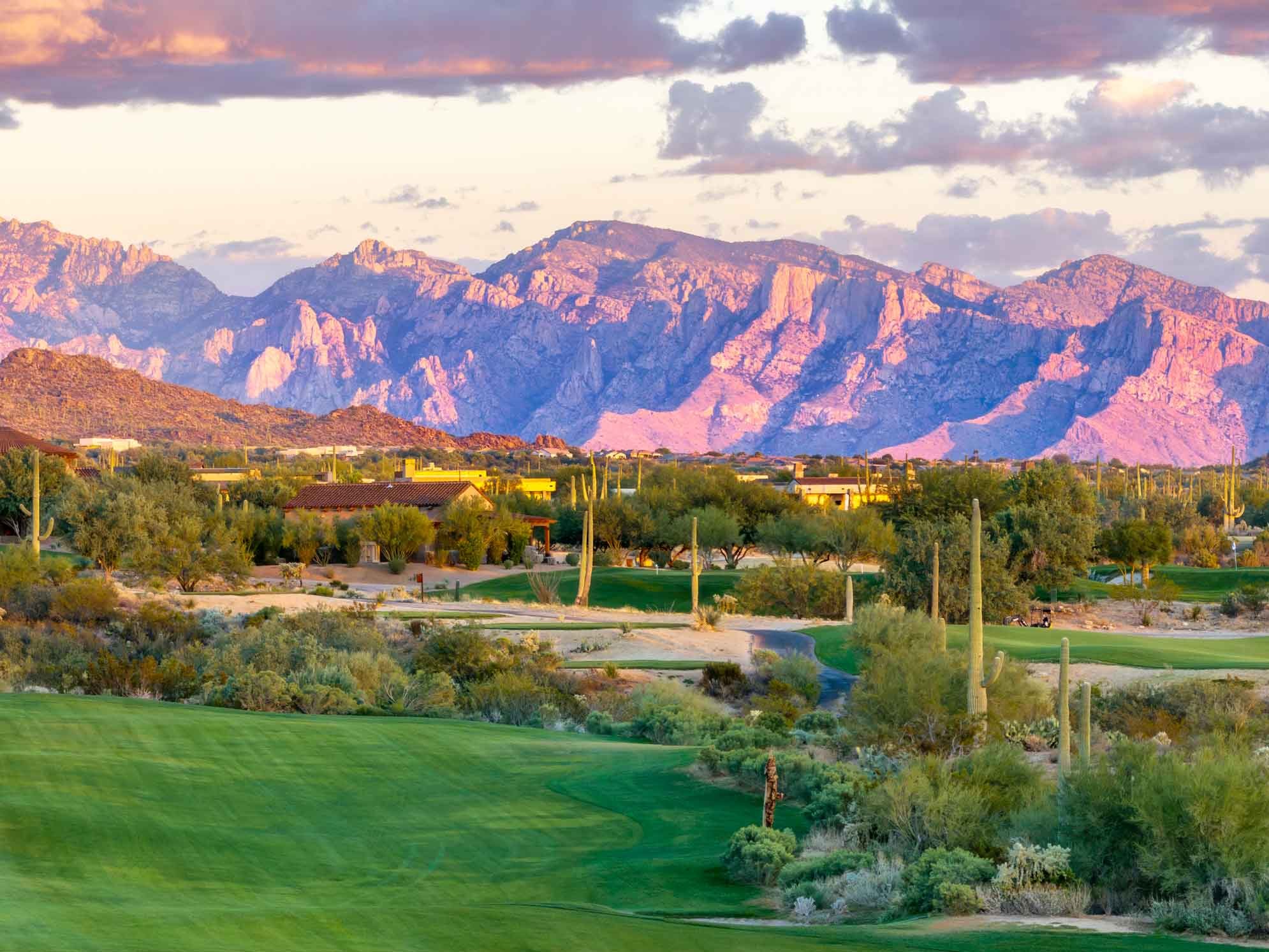 Dove Mountain Golf Course