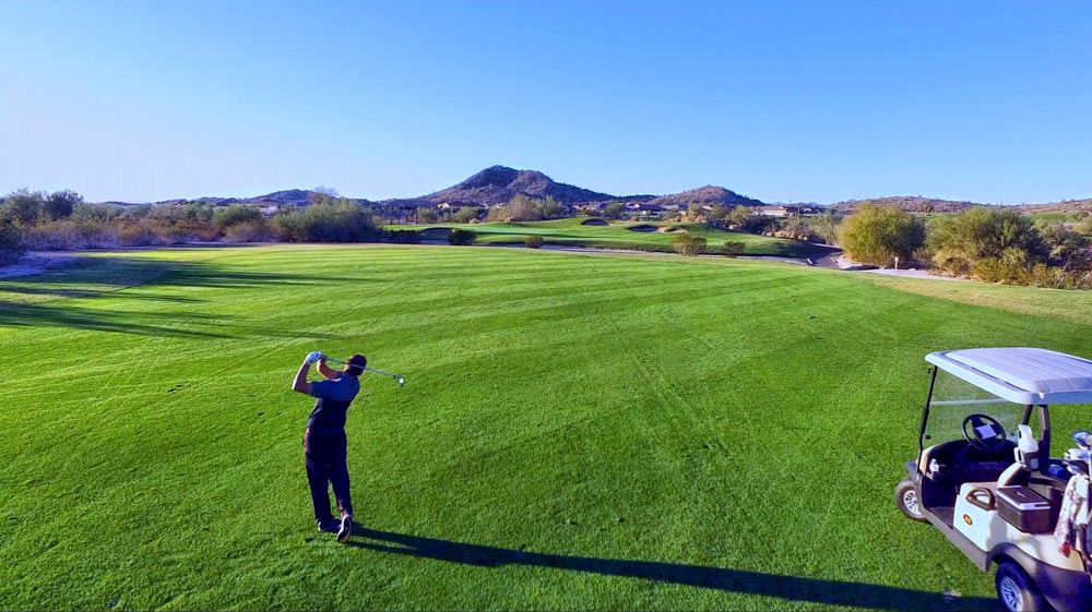 e240a0c6 3c04 4197 9d7a 2e0ce8b3ca3f OPT