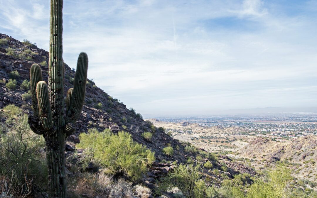 What does insurance cover in Phoenix? Top 10 Questions Answered