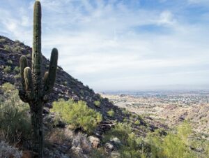 South Mountain Village, Phoenix, AZ, USA. What does insurance cover in Phoenix