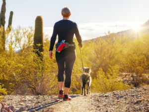 Woman walking dog on trails in Phoenix area with cactus in background.